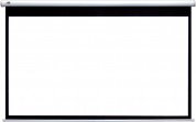 Экран для проектора Classic Norma 308x230 см в Минске - лучшая цена