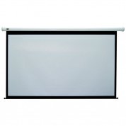 Экран моторизированный Classic Lyra S 278x165 см в Минске - лучшая цена