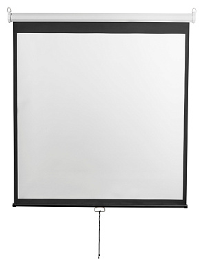 Экран для проектора Digis Optimal-D 206x159 см в Минске - лучшая цена