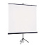 Экран на штативе Classic Libra 200x200 см